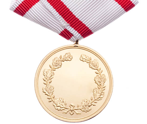 Med Forsvarets Medalje for Faldne i Tjeneste anerkender vi dem, der betalte den højeste pris for deres indsats i Forsvaret.