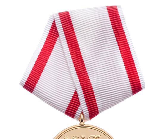 Med Forsvarets Medalje for Faldne i Tjeneste anerkender vi dem, der betalte den højeste pris for deres indsats i Forsvaret.